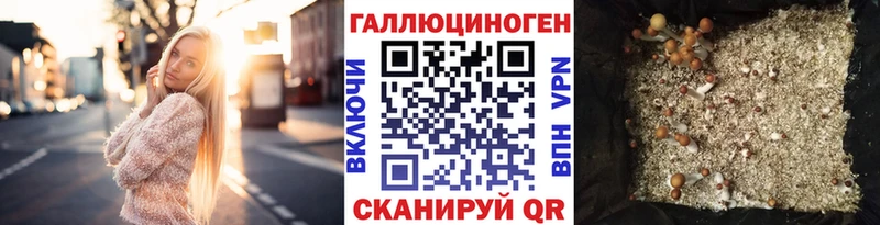 Псилоцибиновые грибы Psilocybe Ясный